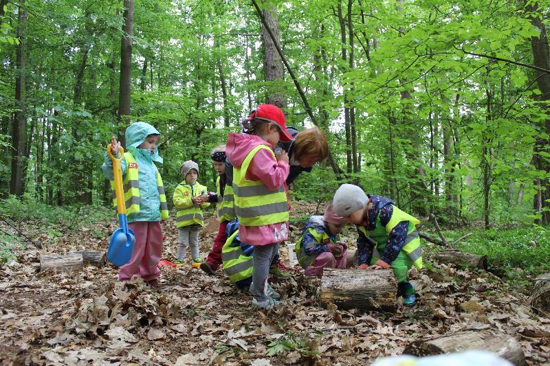 Allerhand zu entdecken gab es für die Kinder des St. Wolfgang-Kindergartens während ihrer Waldwoche, die sie in ihrem Waldquartier am Kalvarienberg verbrachten. - Foto von Werner Schulz