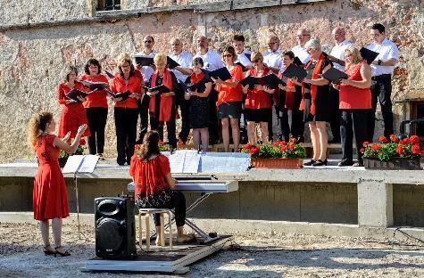 Der Gemischte Chor des Gesangvereins 1860 lädt am Sonntag, 14. Juli, um 18 Uhr wieder in den Schlosshof zu seiner Mittsommerserenade ein.  - Foto von Werner Schulz