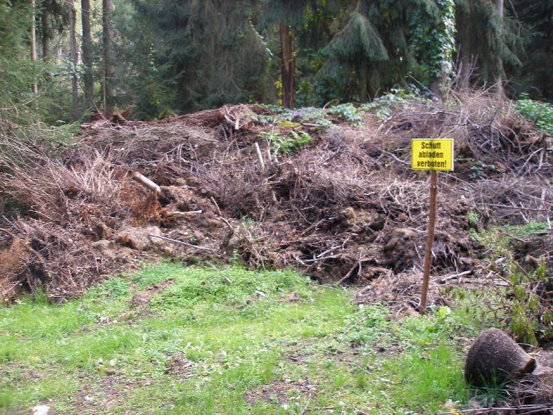 Absolute Frechheit – Wurzelstöcke in fremdem Wald entsorgt