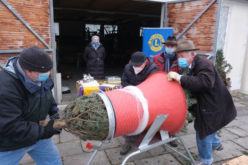 Bei ungemütlichem Wetter hatten die Lions-Mitglieder auch heuer wieder beim Verpacken der Blaufichten und Nordmanntannen alle Hände voll zu tun. Bild: Uschald - Foto von Uschald