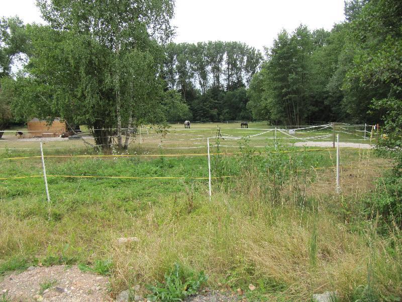 Bis 1999 kämpften hier die Fußballer des TuS Hirschauim Gebrüder Dorfner Stadion an der Schönbrunner Straße um Punkte, jetzt dient das Gelände vorübergehend auch als Weide. Auf dem Gelände ist als neue Nutzung die Errichtung eines 