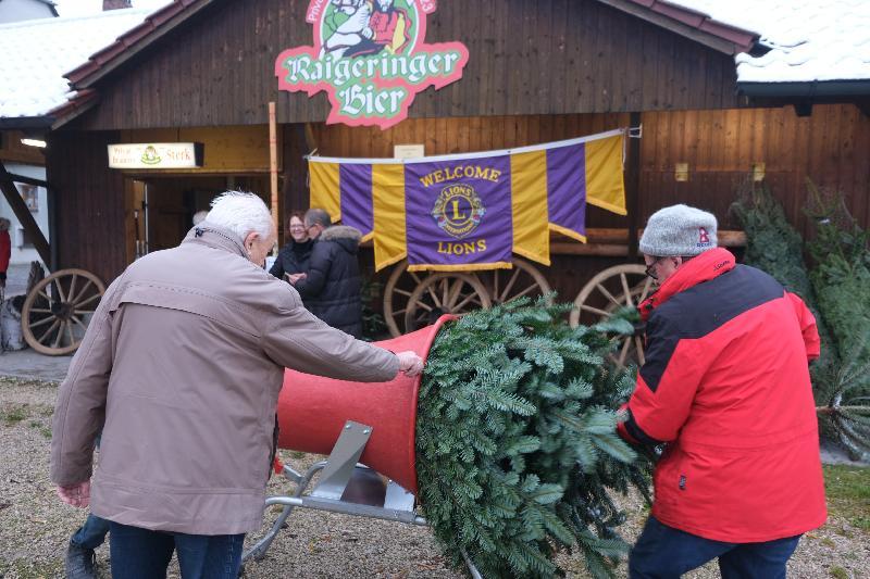 Die Verpacker mussten beim Christbaummarkt des Lions-Clubs Amberg-Sulzbach ordentlich zulangen, da der Andrang schon in den ersten zwei Stunden wieder sehr groß war. - Foto von Uschald