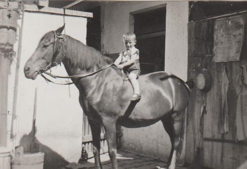 Georg Dobmeier – vom Metzgergesellen zum Priester und „Künder der Frohbotschaft“