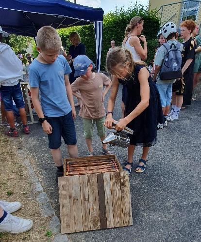 Auf großes Interesse stieß bei Kindern wie Erwachsenen das Bienenvolk, das seit den Pfingstferien im Schulgarten zu Gast war. Sie inspizierten u.a. die Wabenrähmchen in einem (selbstverständlich) leeren Bienenkasten
Auf
 - Foto von Maria-Teresa Kellner