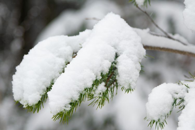 Winterlandschaft am Rotbühlsender