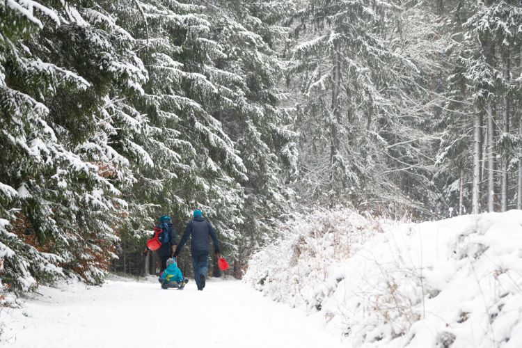 Winterlandschaft am Rotbühlsender